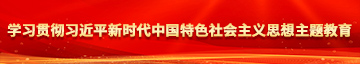 美女爆操视频软件学习贯彻习近平新时代中国特色社会主义思想主题教育